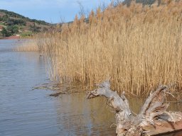 Crete-des-lousses-la-sure-x