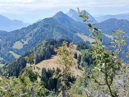 Sejour-dans-les-bauges-n