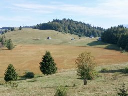 Sejour-dans-les-bauges-p