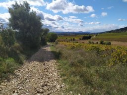 Balcons-d-herault-s