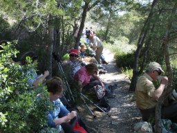 Les-calanques-g