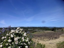 18-04-Minervois