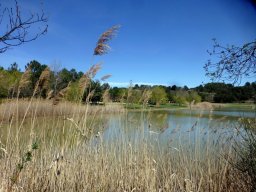 Minervois-g